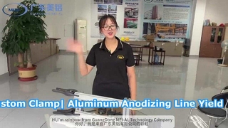 Aangepaste klem voor productielijn voor het anodiseren van aluminium