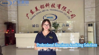Professionele aluminium anodisatieproductielijnoplossingen