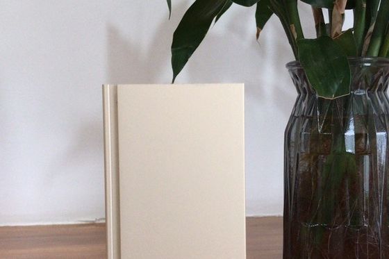 Goede prijs Productielijn Manunal Oxidation met een capaciteit van 900 ton per maand online