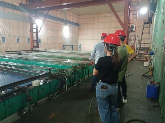 Goede prijs CDEY Speciale Lifting Overhead Crane voor Aluminium Anodizing Oxidatie Lijn online
